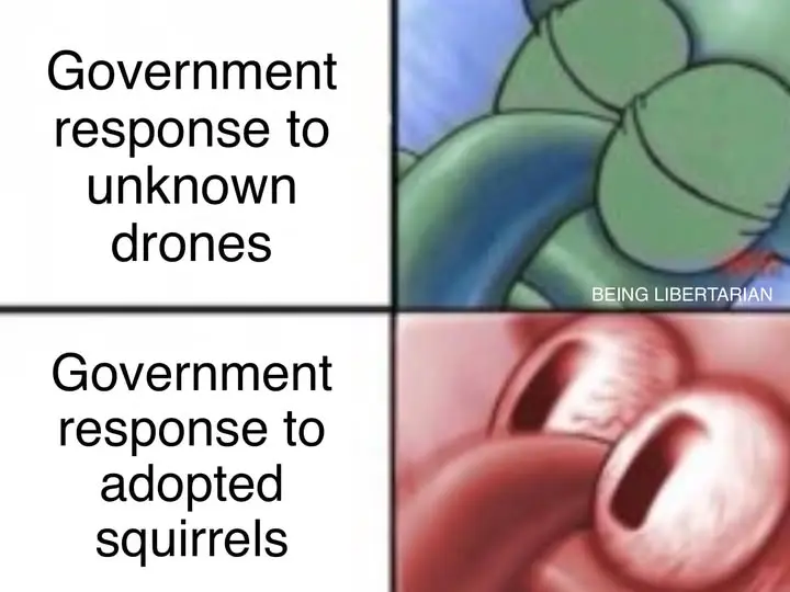 Goverment Response to Unknown Drones vs Government response to an adopted squirrel 