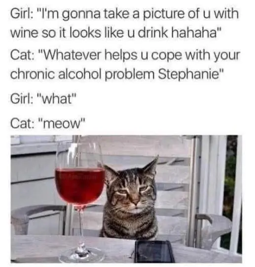 Girl: "I'm gonna take a picture of u with wine so it looks like you drink hahaha" 
Cat: "Whatever helps u cope with your chronic alcohol problem Stephanie"
Girl: "What"
Cat: "Meow"