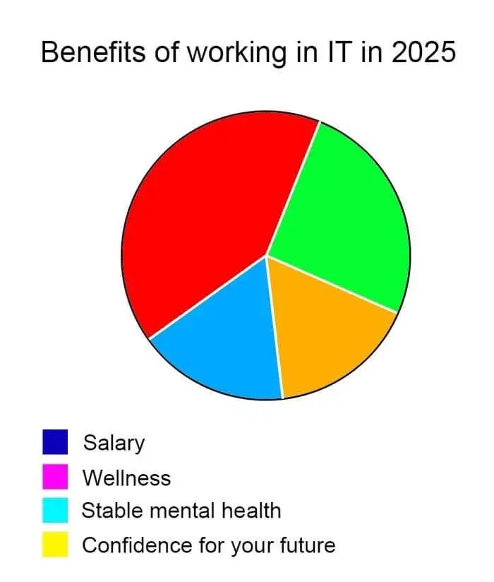 Benefits of Working In IT in 2025: Salary, Wellness, Stable Mental Health, Confidence for your future