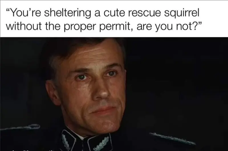 You're sheltering a cute rescue squirrel without the proper permit, are you not?