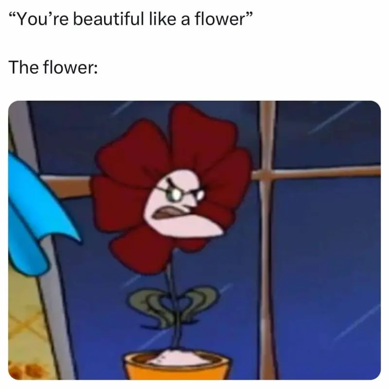 You're Beautiful Like a Flower
The Flower: 