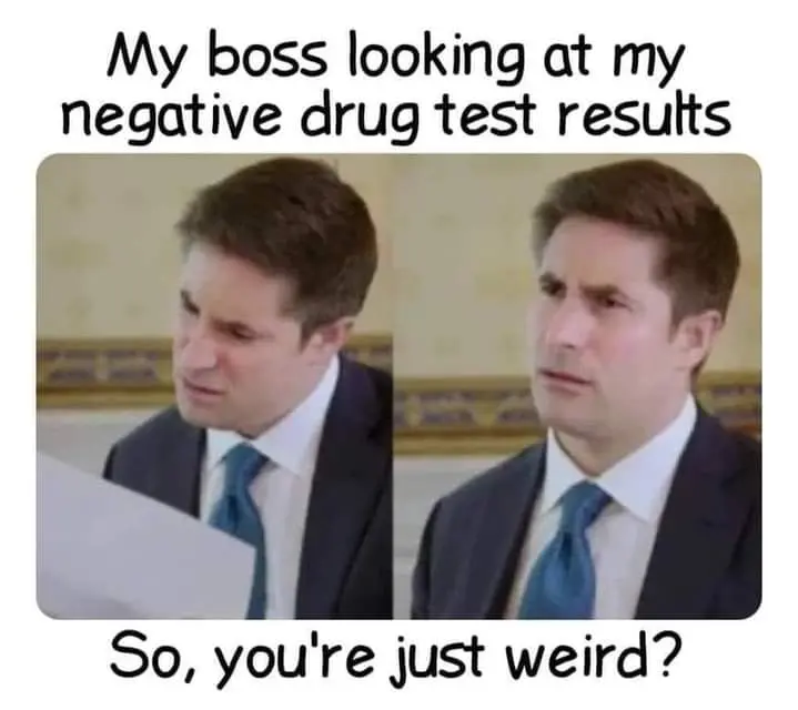 My boss looking at my negative drug test results. "So you're just weird?"