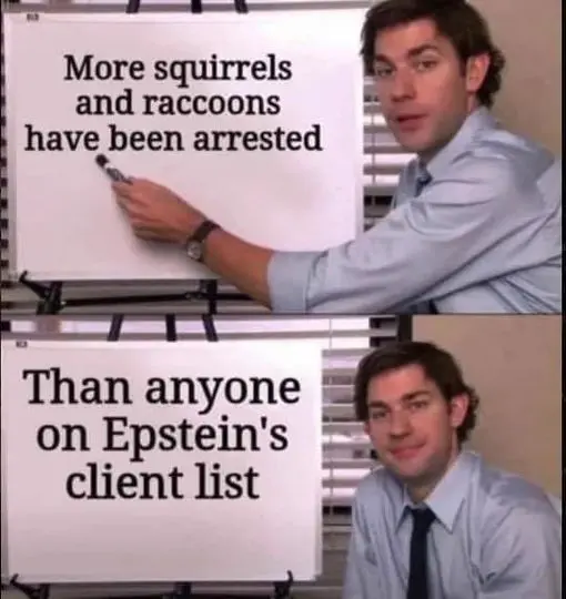 More squirrels and raccoons have been arrested than anyone on Epstein's client list