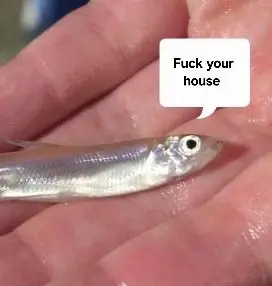 Smelt Fish: F**k Your House