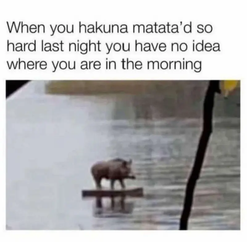 When you Hakuna Matata'd so hard last night you have no idea where you are in the morning!