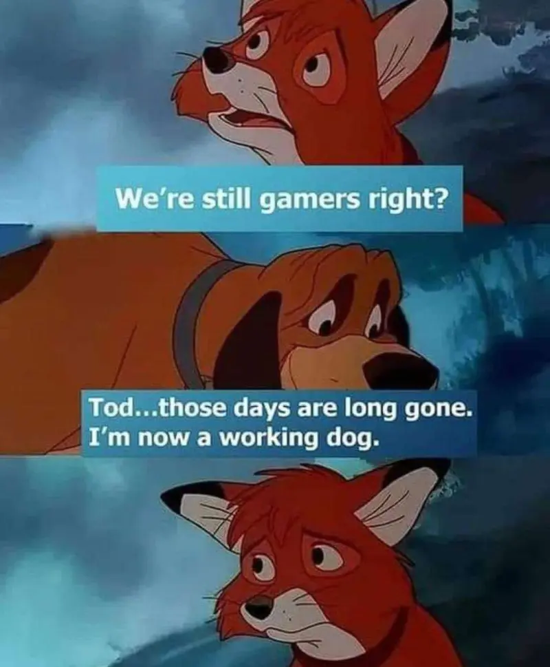 We're still gamers right?
Tod... those days are long gone. I'm now a working dog