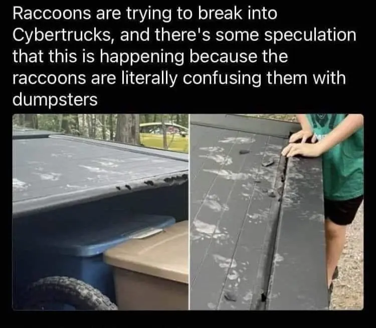 Raccoons are trying to break into Cybertrucks, and there's speculation that this is happening because the racoons are literally confusing them with dumpsters 