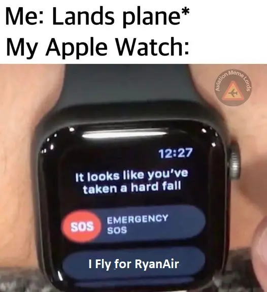 Every RyanAir Pilot after landing!