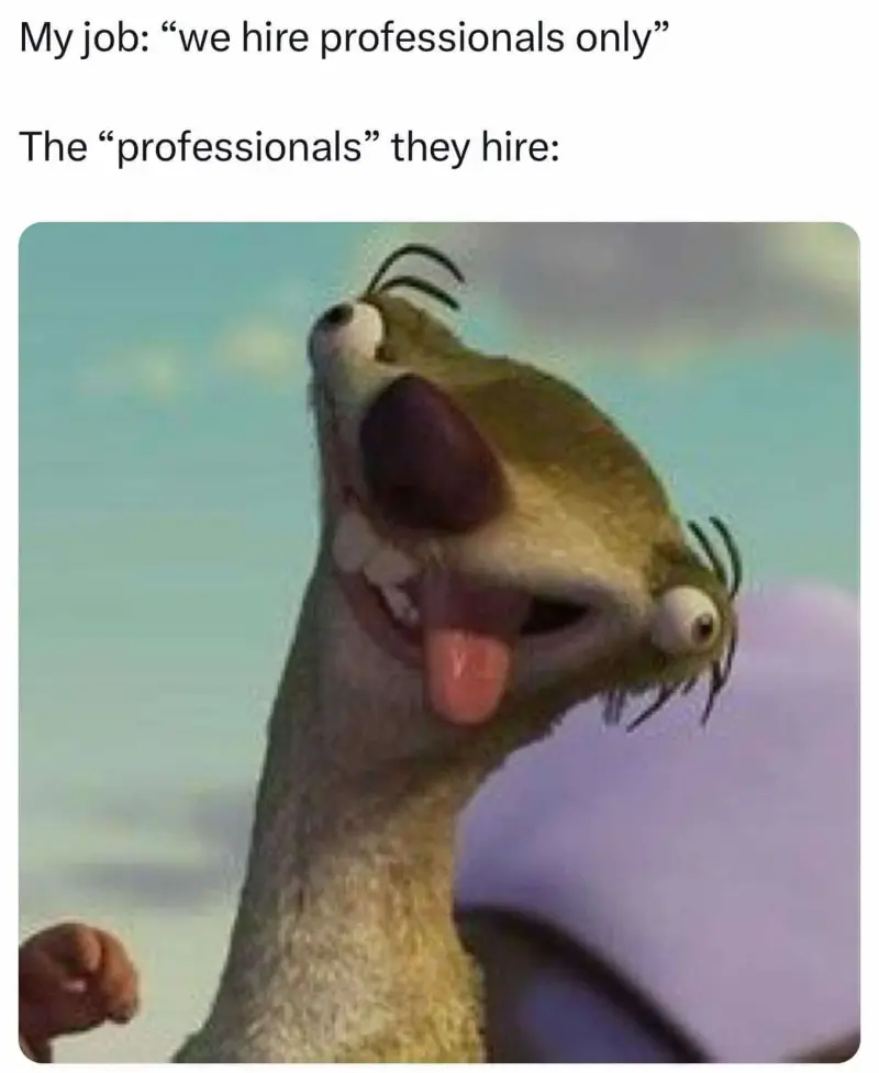 My Job: "We hire professionals only"
The "professionals" they hire