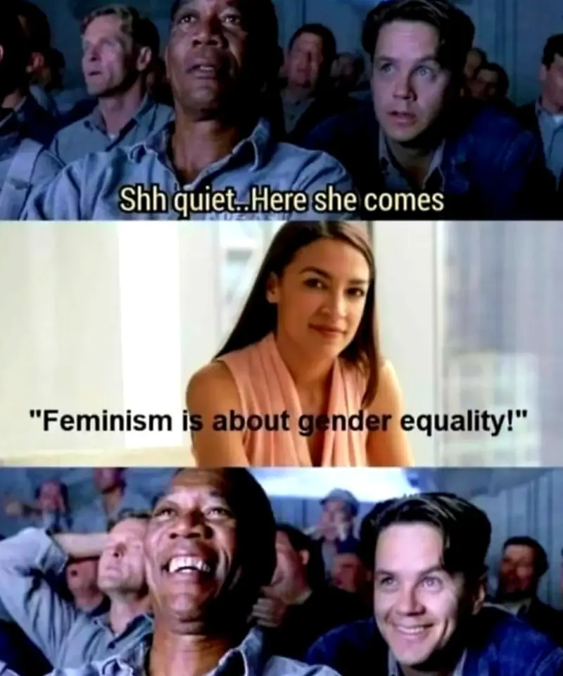 People: shh quiet...here she comes
Woman: "Feminism Is About Gender Equality!"
People: [Laugh]