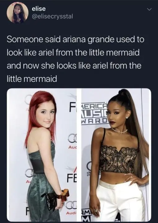 Someone said Ariana Grand used to look like Ariel from the Little Mermaid and now she looks like Ariel from the Little Mermaid