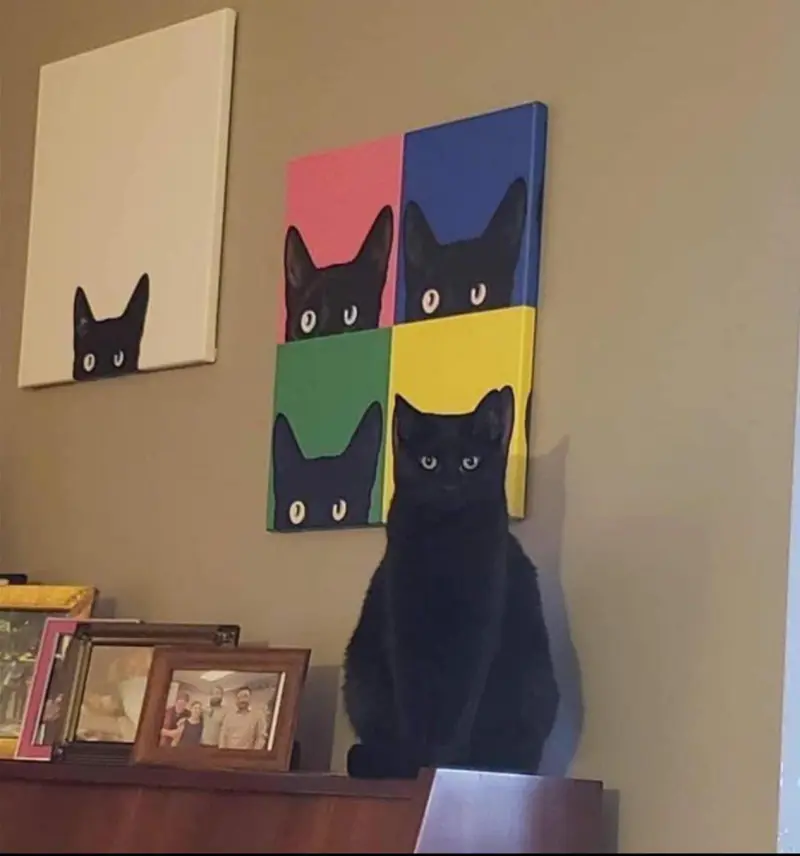 Black cat on painting