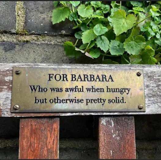 For Barbara, who was awful when hungry but otherwise pretty solid