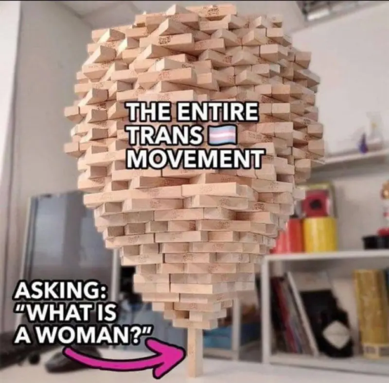 [The Entire Trans Movement]
Asking: "What is a Woman?"