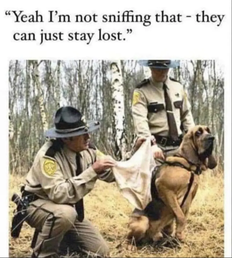 Yeah, I'm not sniffing that - they can just stay lost