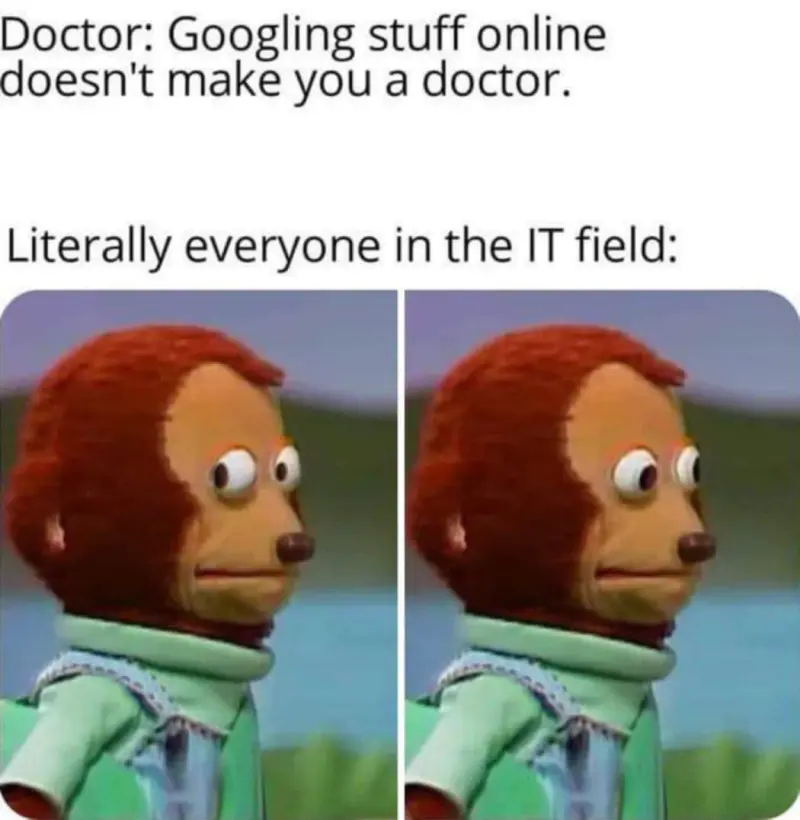 Doctor: Google stuff online doesn't make you a doctor
Literally everyone in the IT field: [Disagreement]