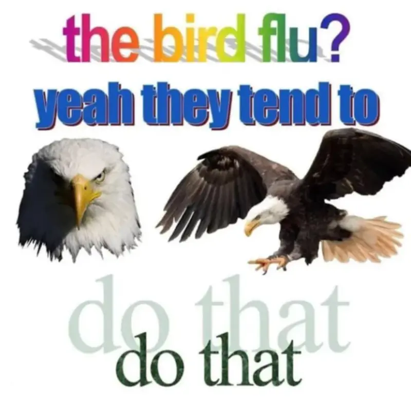 The bird flu?
Yeah they tend to do that