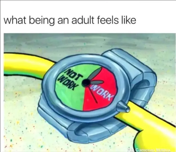 What being an adult feels like: [Watch: Work, Not Work]