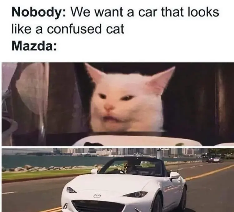 Nobody: We want a car that looks like a confused cat
Mazda: MX5